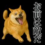 ガンギマリの柴犬＠エロ・日常会話