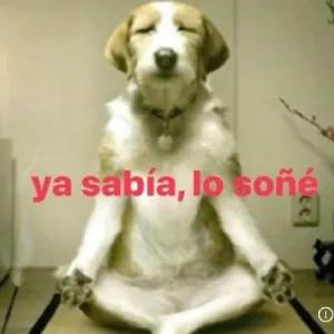 ya sabía, lo soñé - getsticker.com