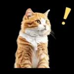 リアルな猫の敬語