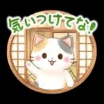 ほんわか水彩♪京都の三毛猫さん