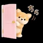 癒やしばいぬで春の日常スタンプ