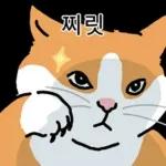 고양이 확대 2