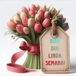 BOM DIA LINDA SEMANA!