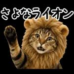 キジトラ猫飼いさんのダジャレ