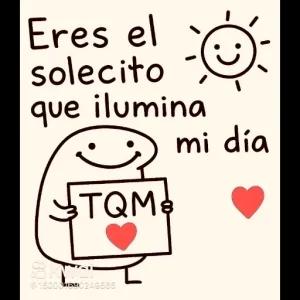 Eres el solecito que ilumina mi día TQM - getsticker.com