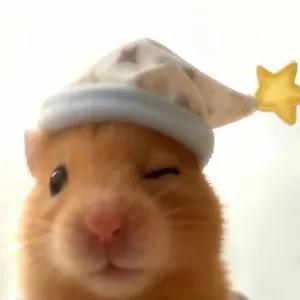 HjDqUT