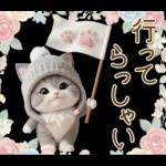 スコティッシュ猫 可愛いグレーニット 冬