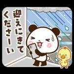 パンダ＆ひよこ 梅雨・夏