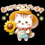 猫のつめあわせ【夏】