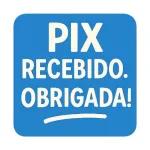PIX RECEBIDO. OBRIGADA!