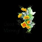 Guten Morgen 