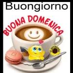 Buongiorno, BUONA DOMENICA, il girasole