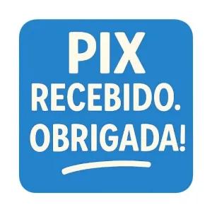 PIX RECEBIDO. OBRIGADA! - getsticker.com