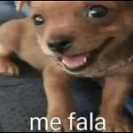 Um pouco de lazer um