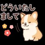 Pop-Up! Corgi's Spring Reply Sticker