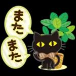 大人女子の日常【やんわり大人対応】