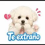 Puro Amor Tú y Yo