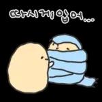 겨울철 부실감자 냉해주의