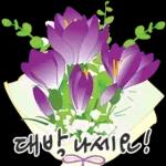 오늘은 꽃 주는 날