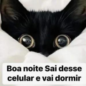 Boa noite Sai desse celular e vai dormir - getsticker.com