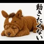 ウマの着ぐるみトイプードル【午年/2026】