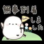 シマエナガの日常♡【気づかい・長文】
