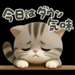 ねこちぃず♡ぐったり涙といたわり