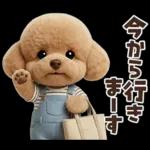 一年中使えることば集☆トイプードル