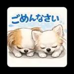 ブラン&プティ第2弾♡