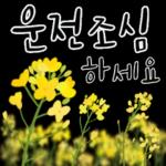 다정한 꽃편지 인사