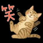 猫がいっぱい♡ふんわり可愛い秋＆冬