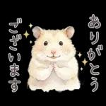 ゴールデンハムスター♡キンクマ