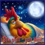 Sonntag Abend 
