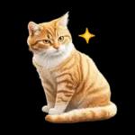 リアルな猫の敬語