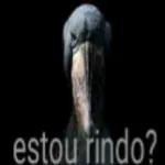 NÃO CHORAXX NÃO É PRA CHORAXX