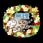 Honobono x Snoopy (Spring)