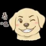 小拉拉 實用日常