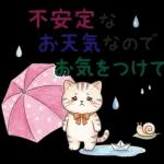 にゃんこたちの梅雨だより