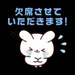 連絡白うさちゃん
