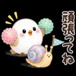 梅雨と夏のやさしい気遣い言葉♡シマエナガ