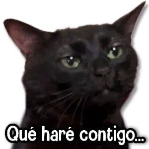 Qué haré contigo... - getsticker.com