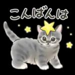 ふんわり可愛い☆猫たちのスタンプ