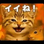 秋のネコたちにゃんだふる♡