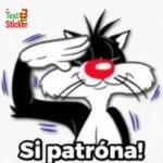 Si patrona!