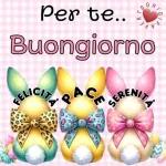 BUON GIORNO BUON Venerdi Buongiorno e Buonanotte