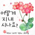 예쁜 꽃 다정한 일상인사톡