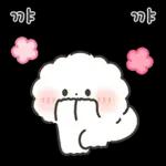 퐁실퐁실 퐁슈랑 벚꽃 보러 갈래?