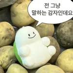 뭐 되는 베베와 멜롱이 짤.zip2