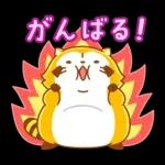 まんまるラスカル☆ヘルシーになろう