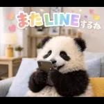 飛び出す♡まいにちパンダ